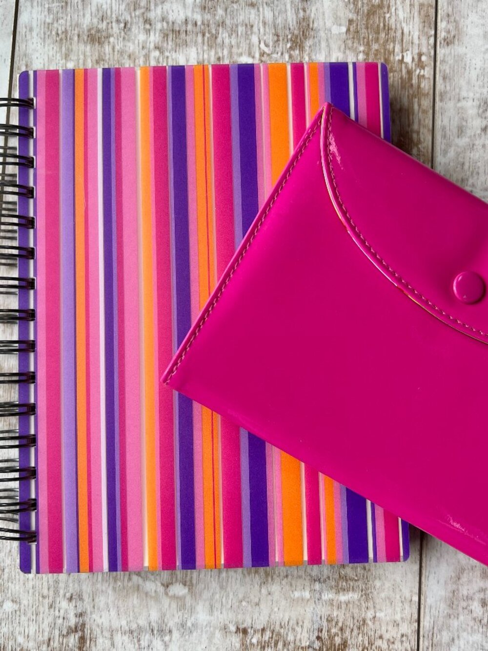 2-Piece Set!  Pink Stripe Journal & Photo Album